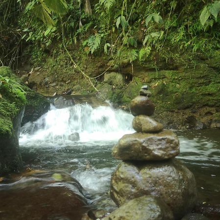 Habana River Lodge And Sanctuary La Fortuna Ngoại thất bức ảnh