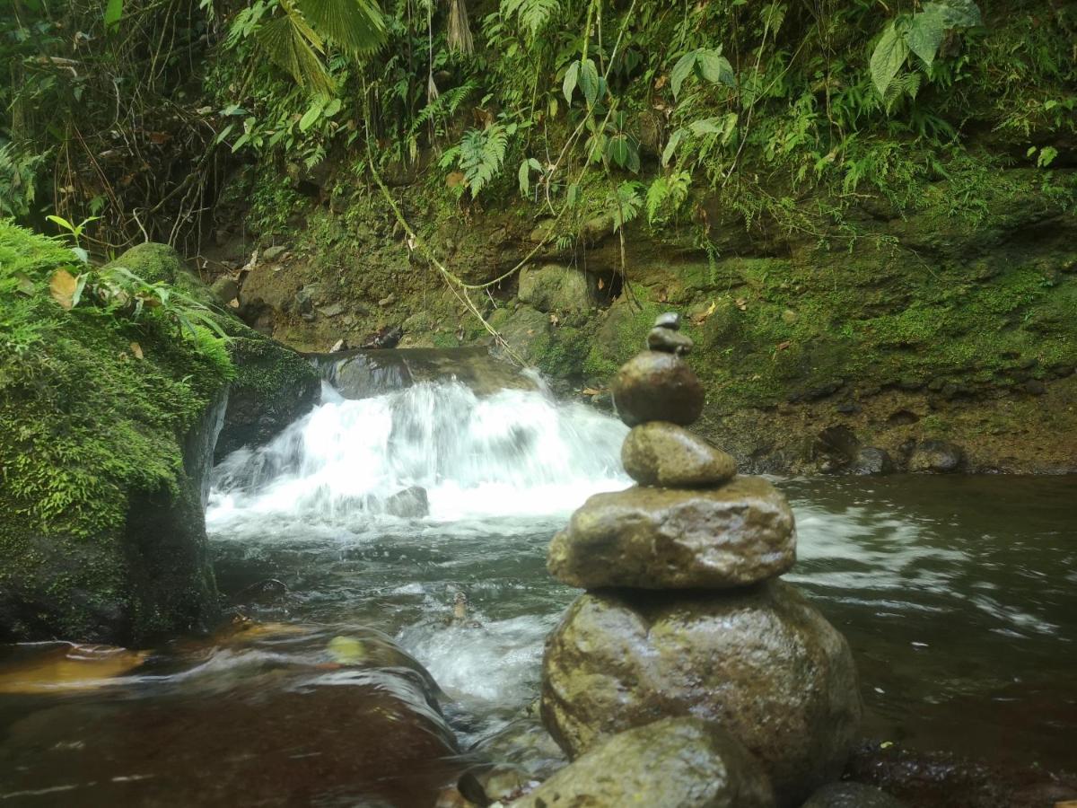 Habana River Lodge And Sanctuary La Fortuna Ngoại thất bức ảnh